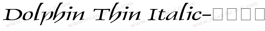 Dolphin Thin Italic字体转换